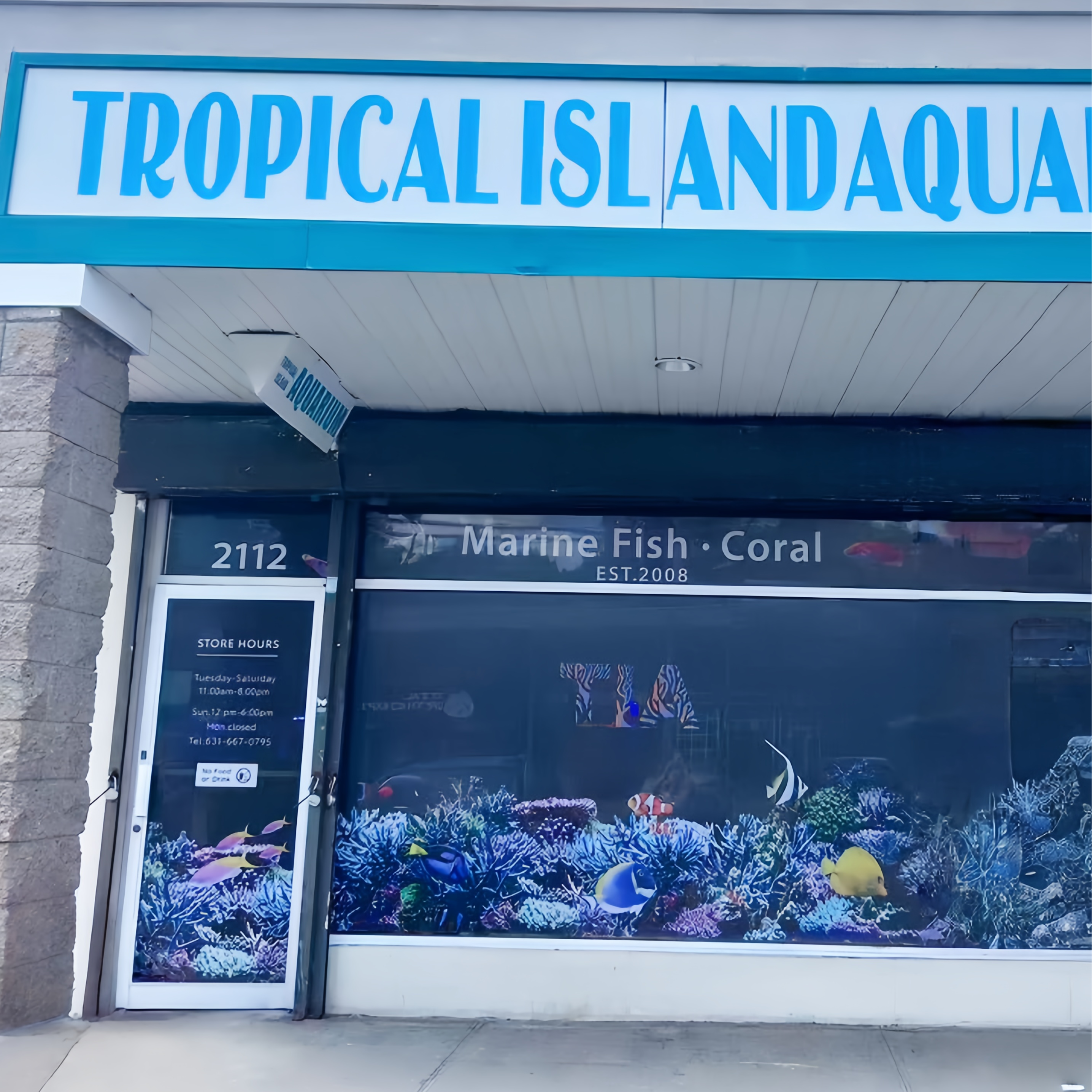 TIA Collection Corals