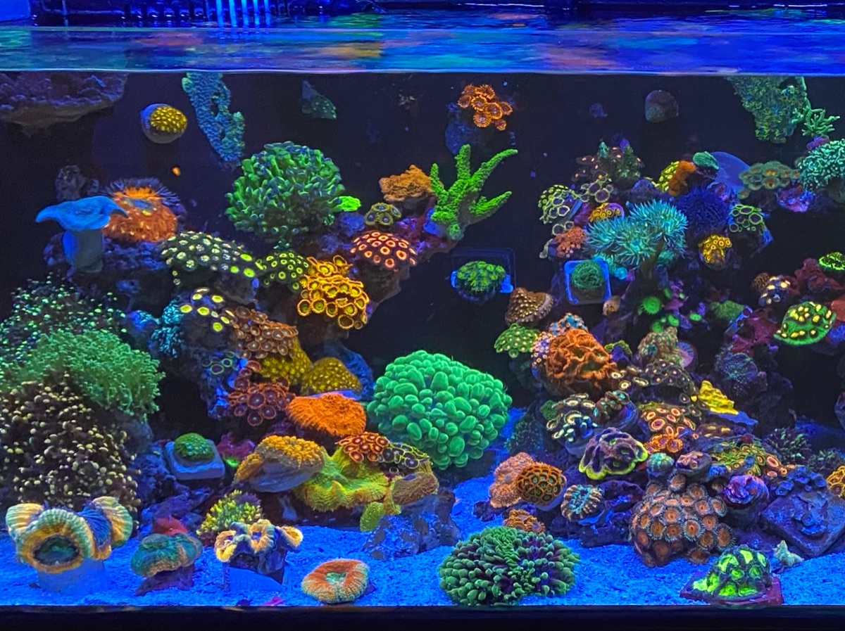 RobsReef LLC