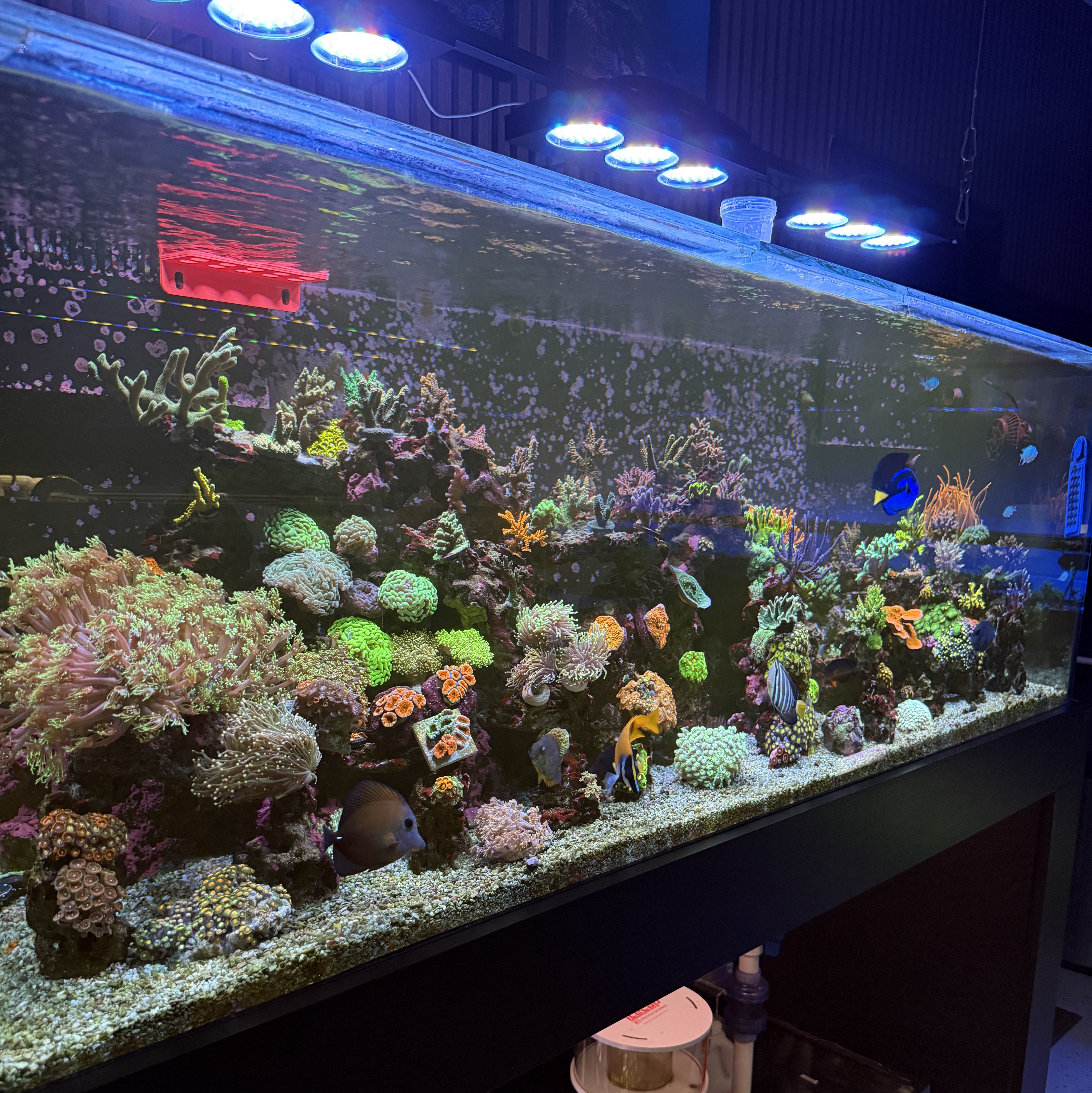 High Tide Aquatics