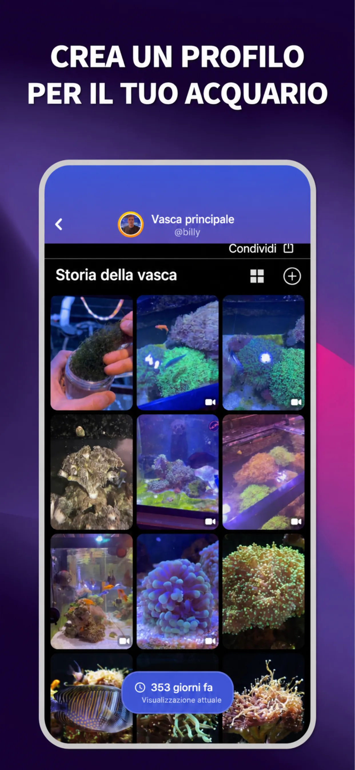App ReefBay: profilo del tuo acquario
