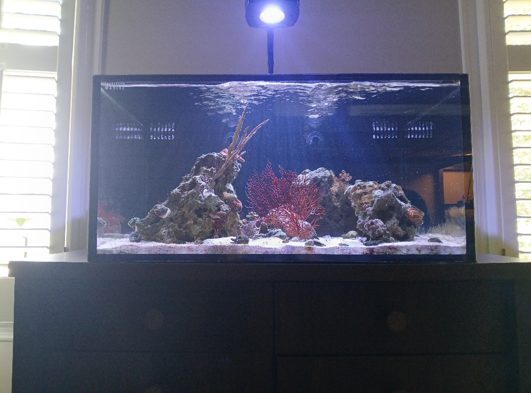 Tank Image