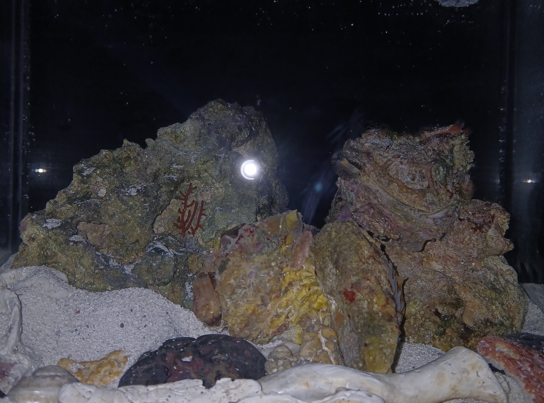 Tank Image