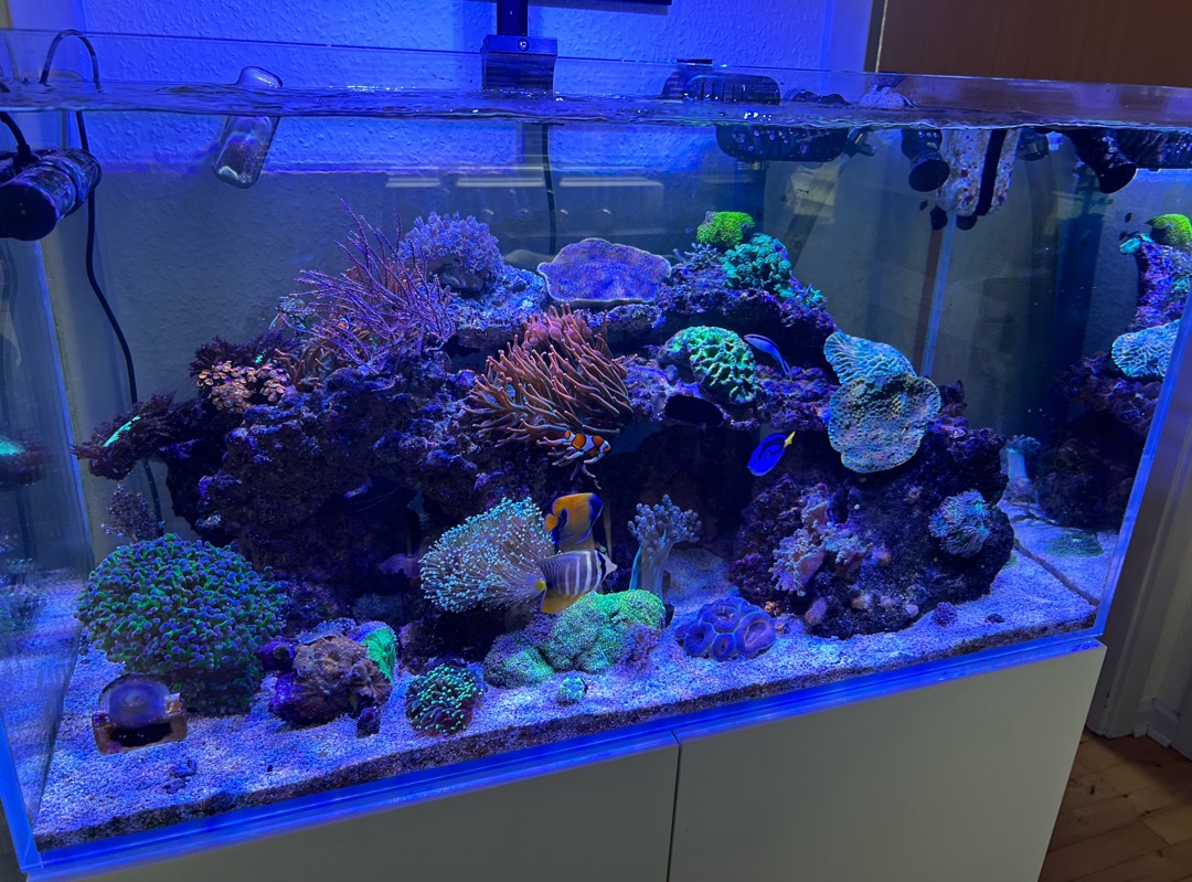 Tank Image