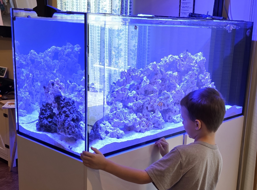 Tank Image