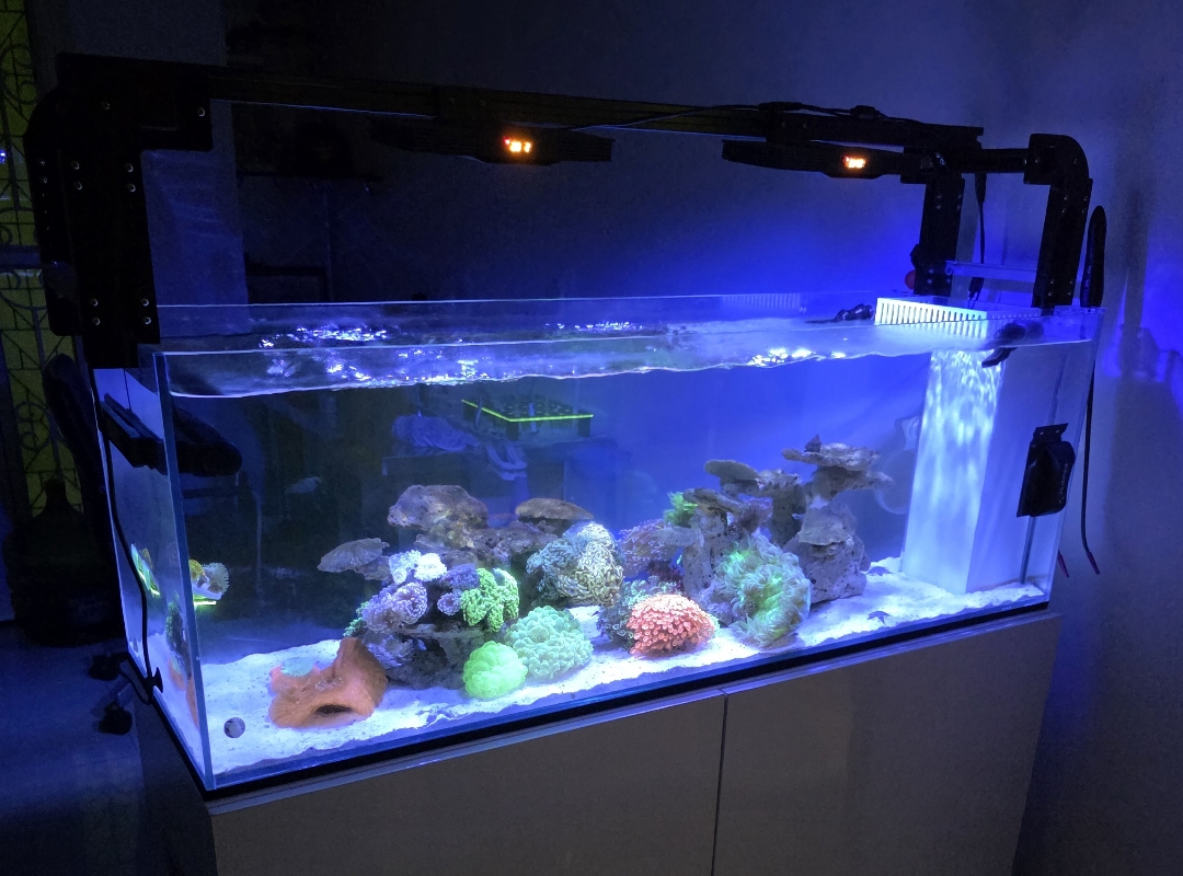 Tank Image