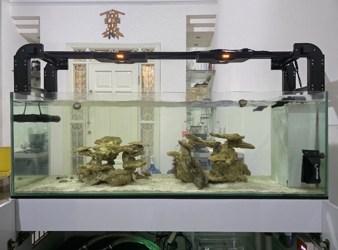 Tank Image