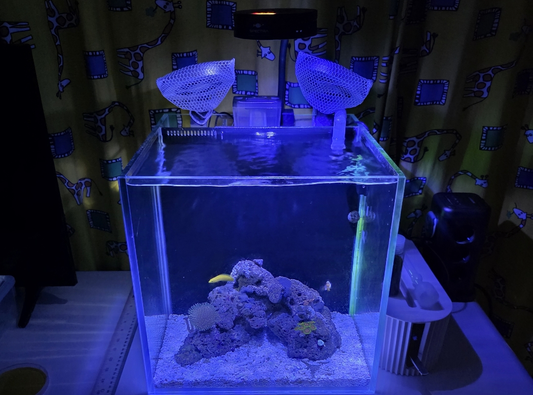 Tank Image