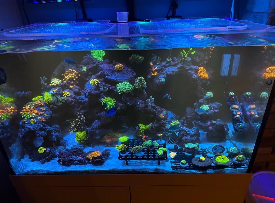Tank Image