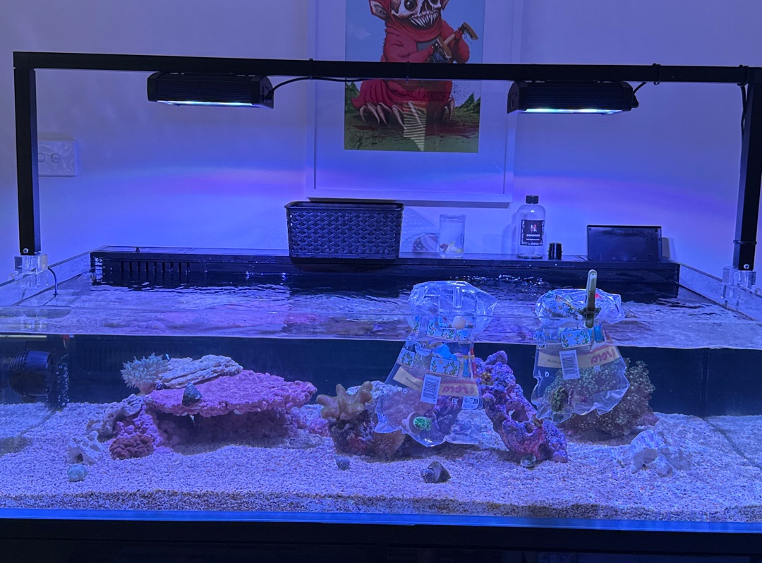 Tank Image
