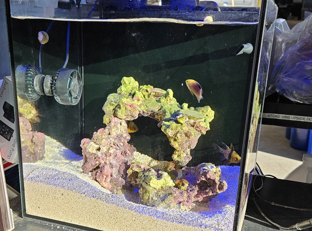 Tank Image