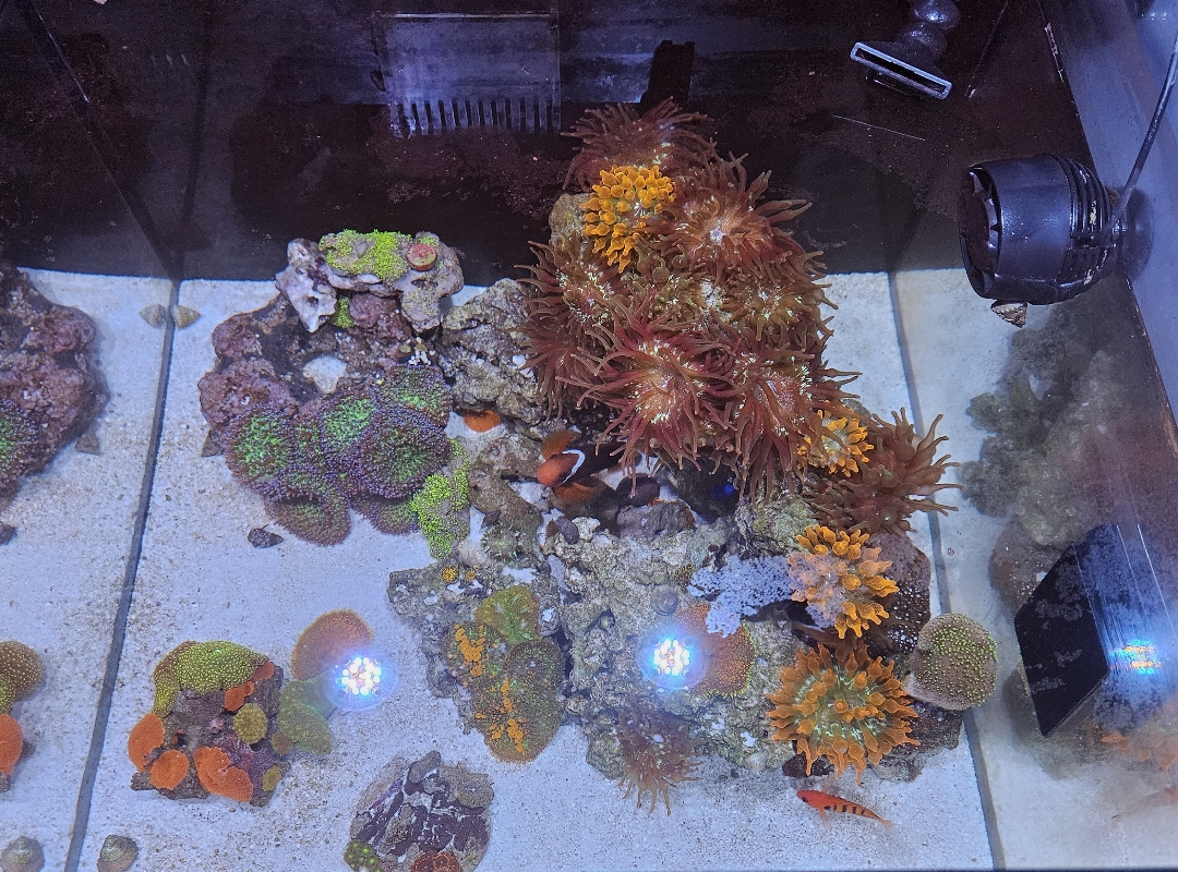 Tank Image