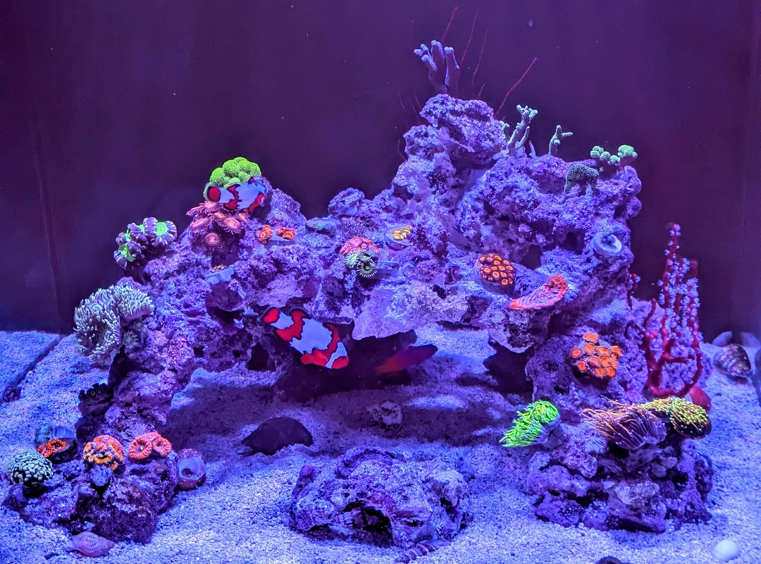 Tank Image