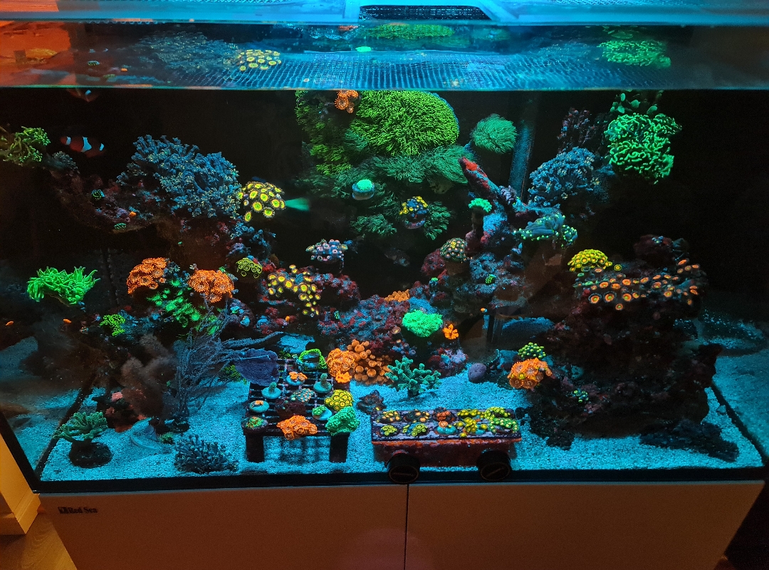 Tank Image