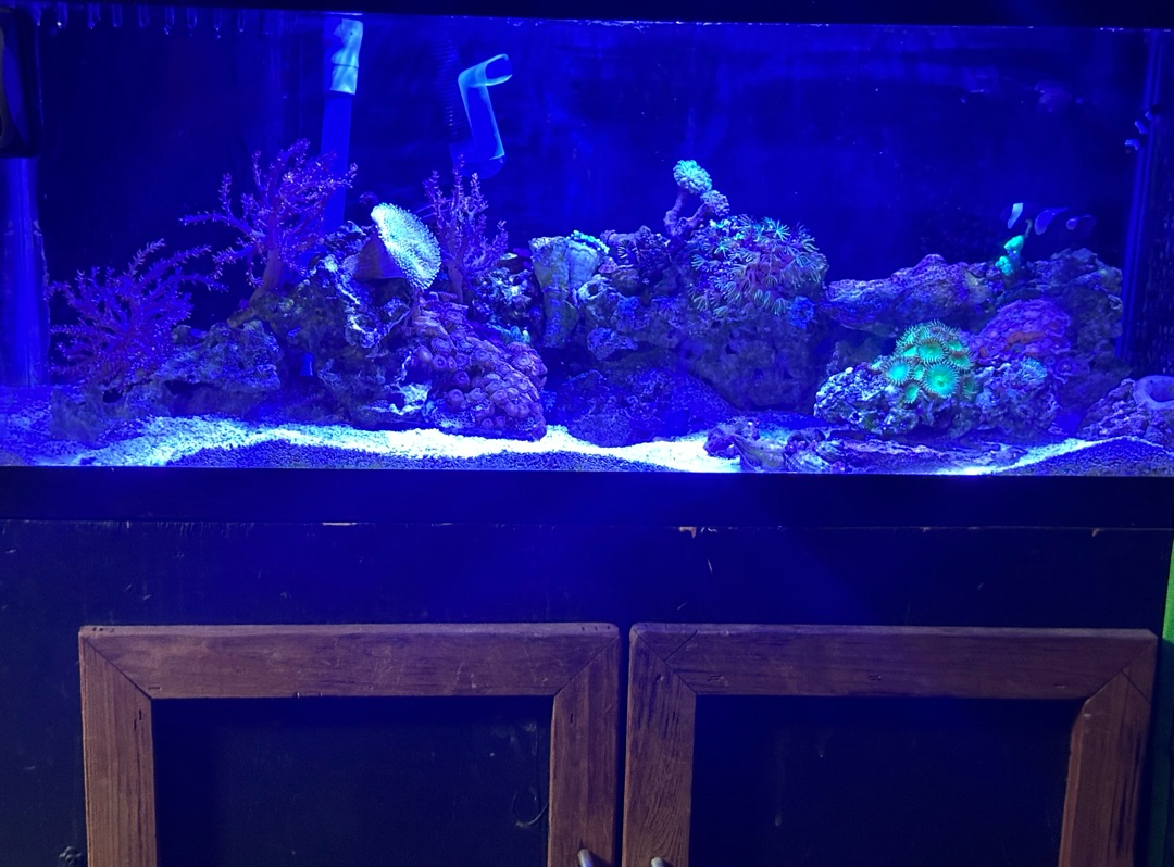 Tank Image