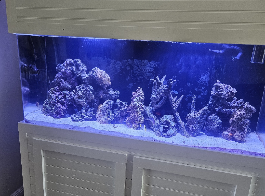 Tank Image
