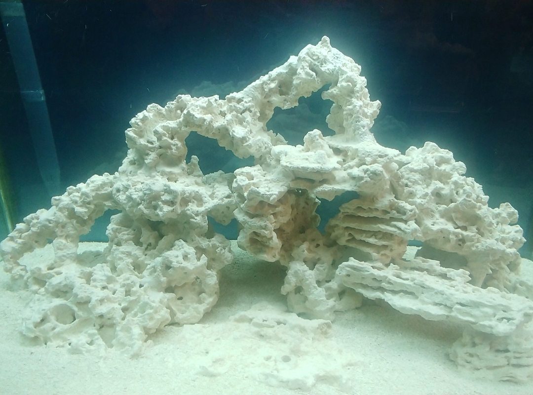 Tank Image