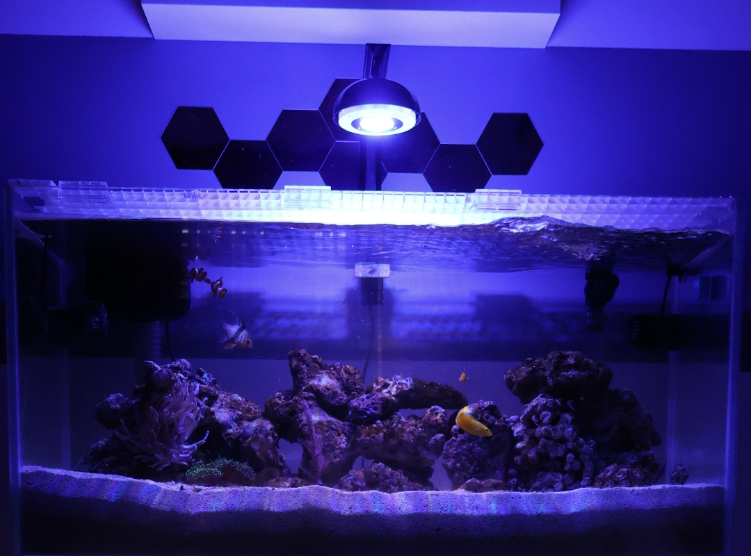 Tank Image