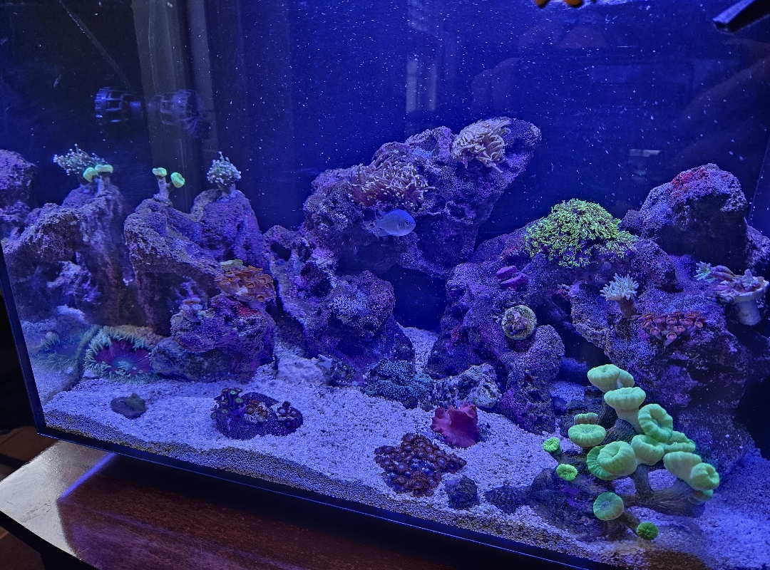 Tank Image