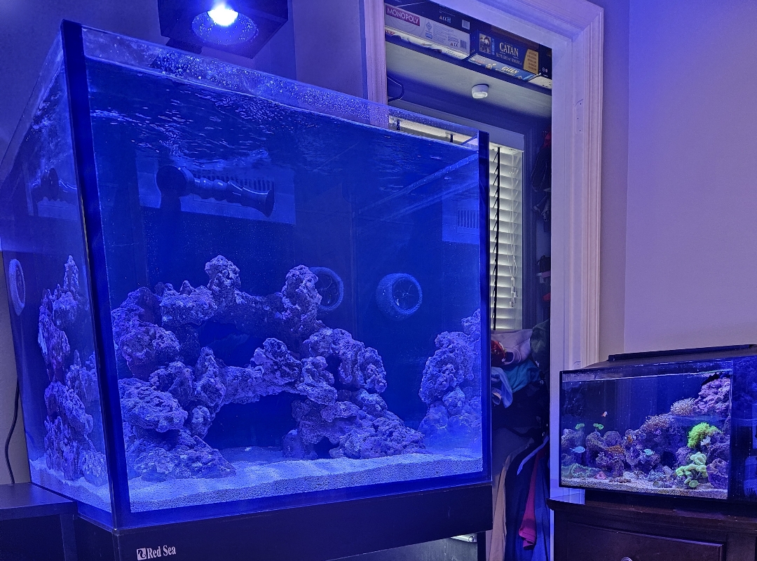 Tank Image