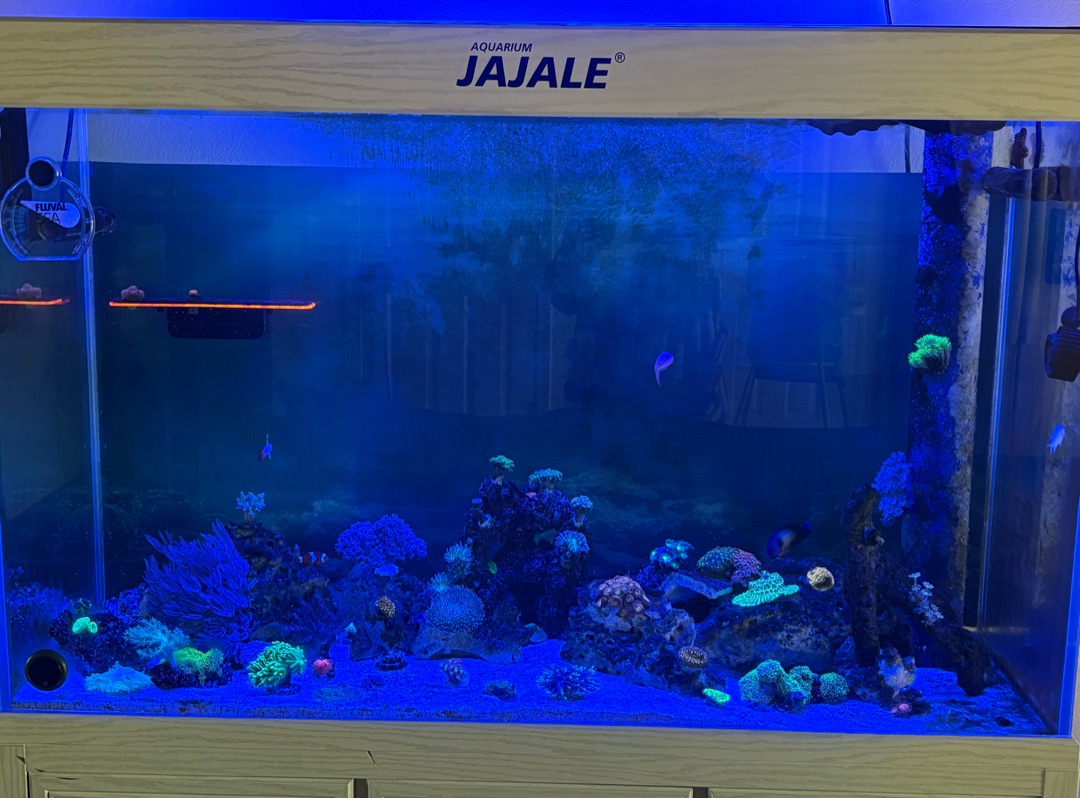 Tank Image