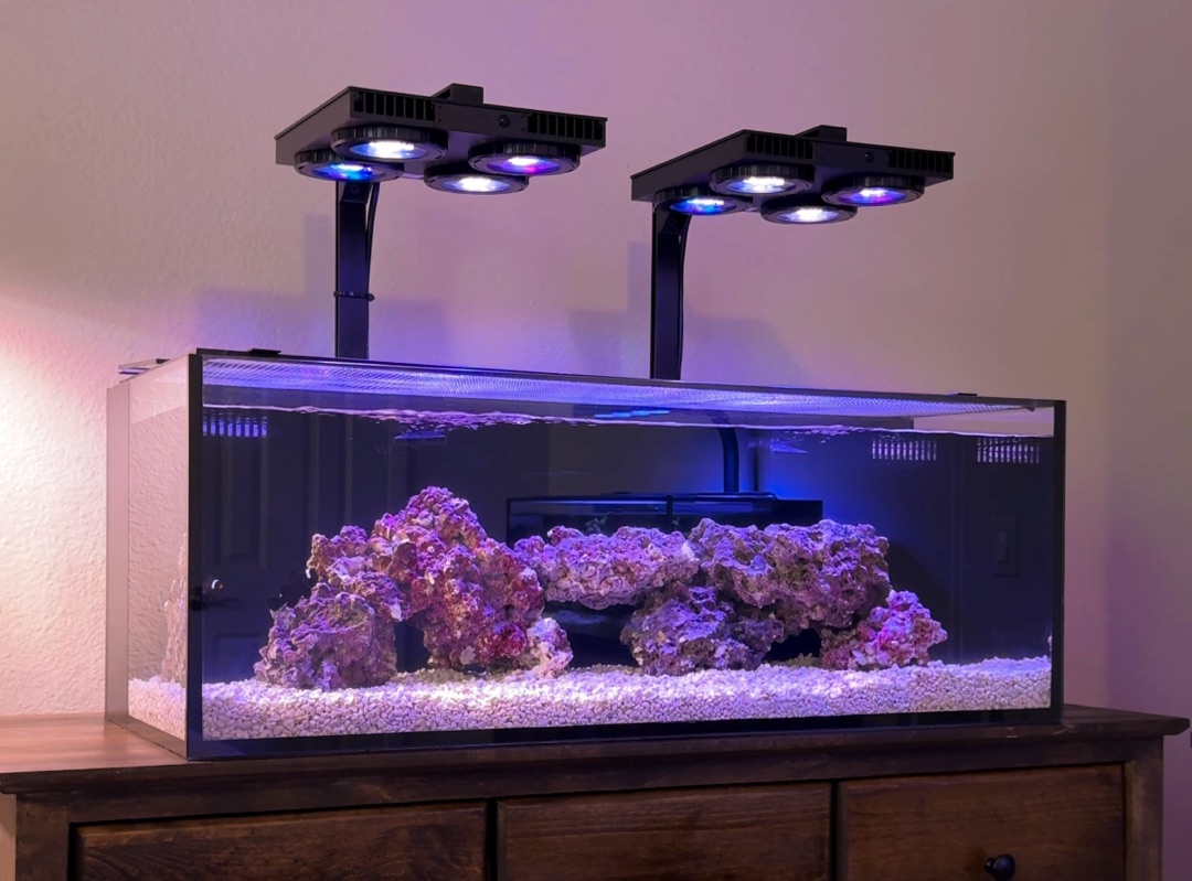 Tank Image