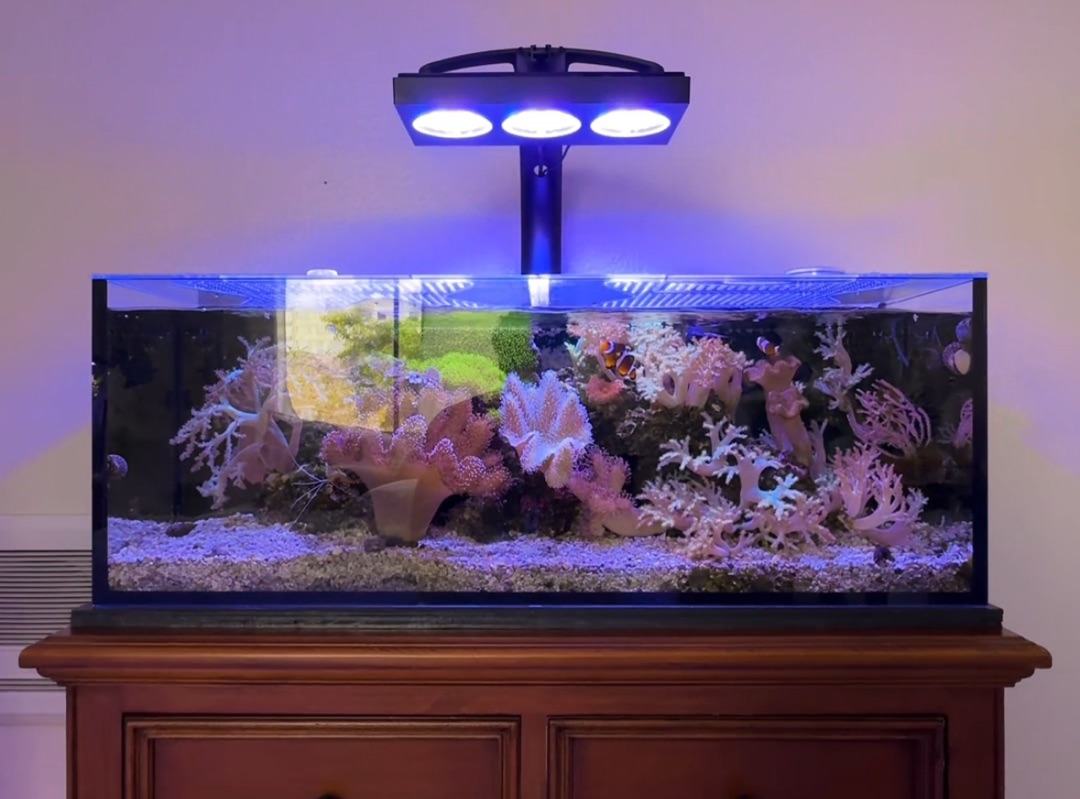 Tank Image