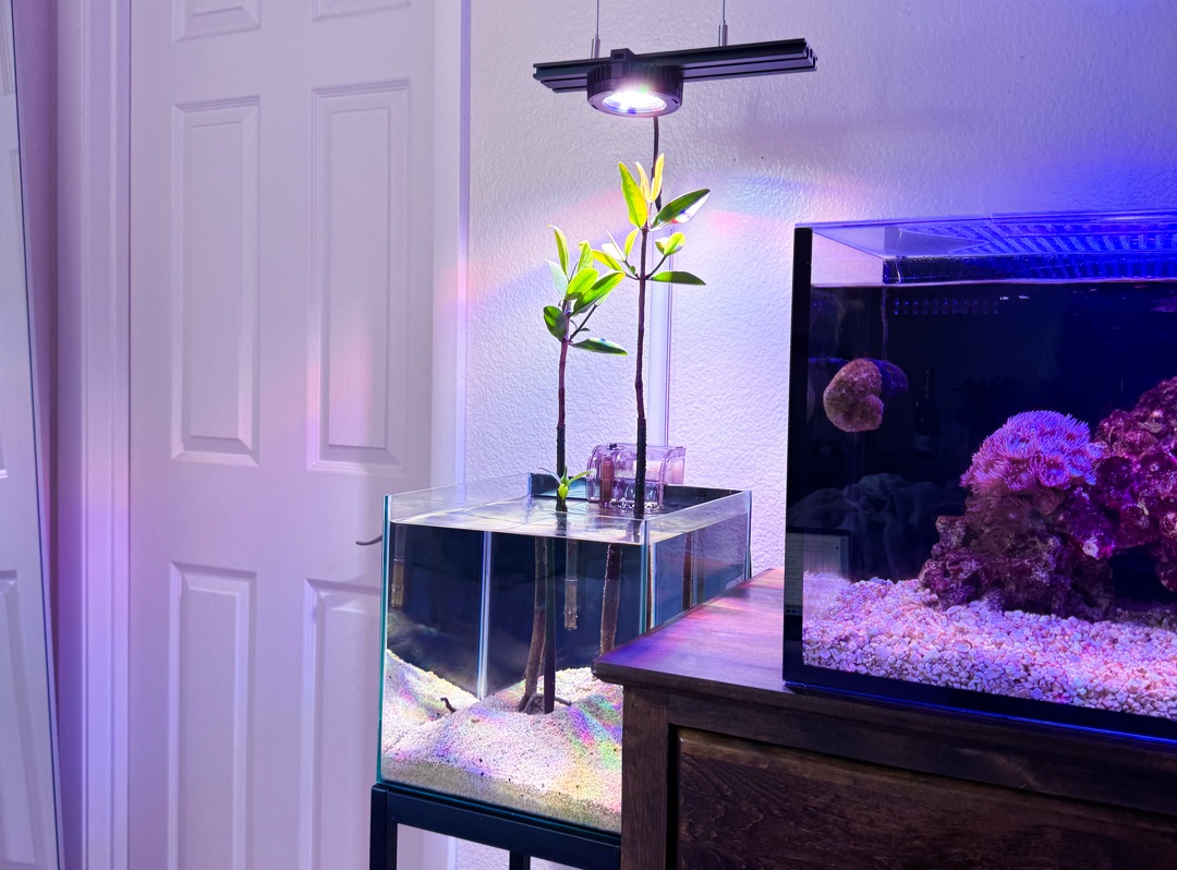 Tank Image