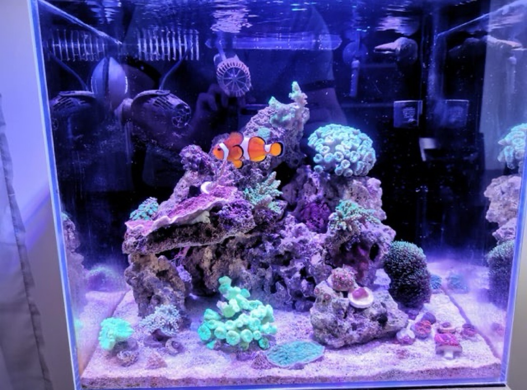 Tank Image
