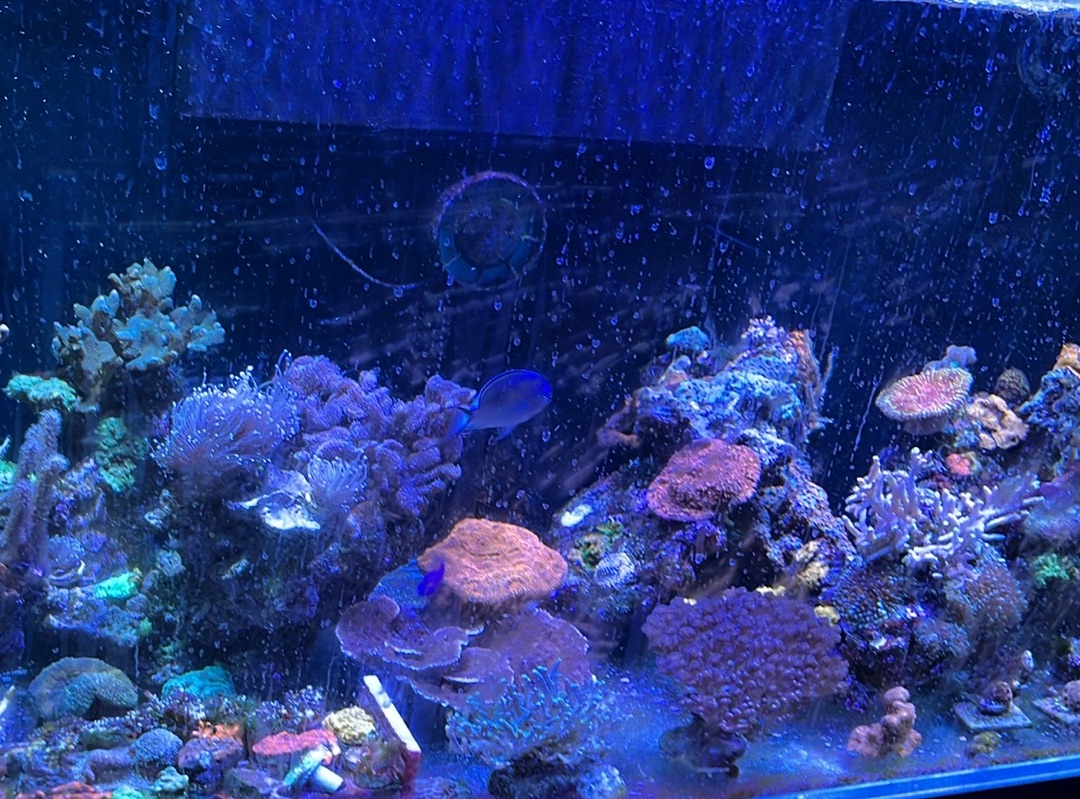 Tank Image