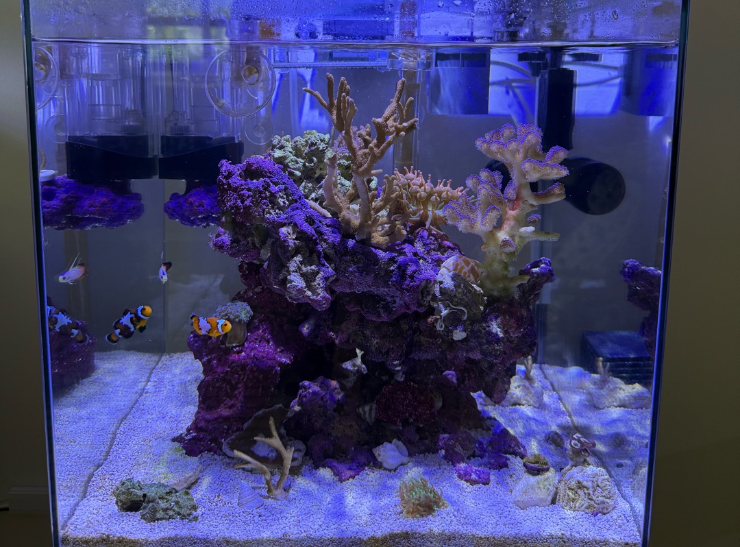 Tank Image