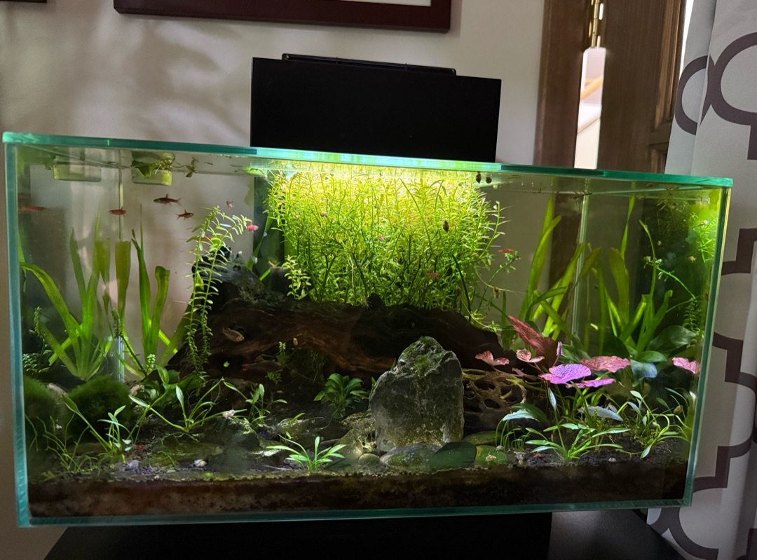 Tank Image