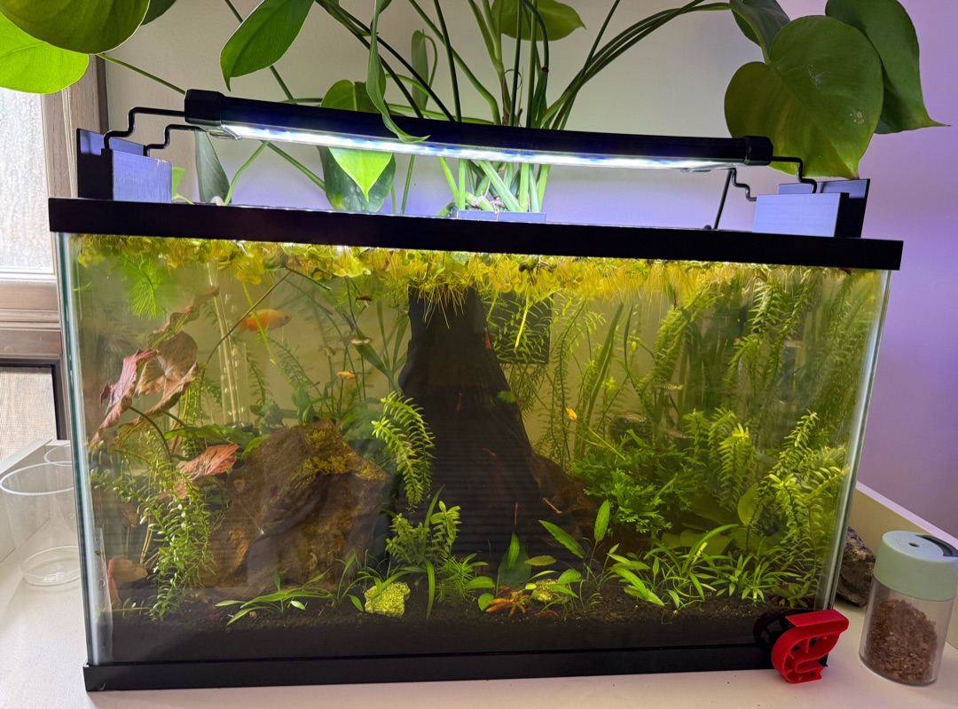 Tank Image