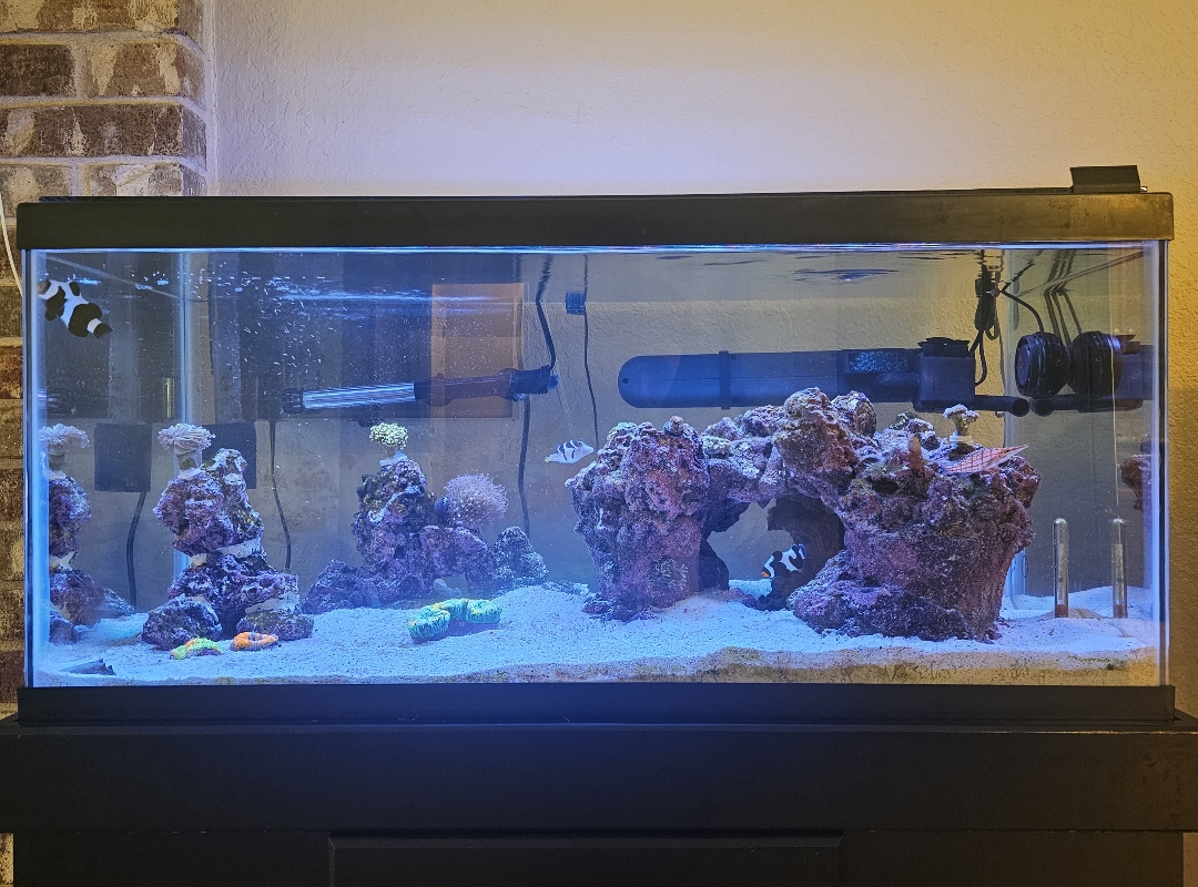 Tank Image