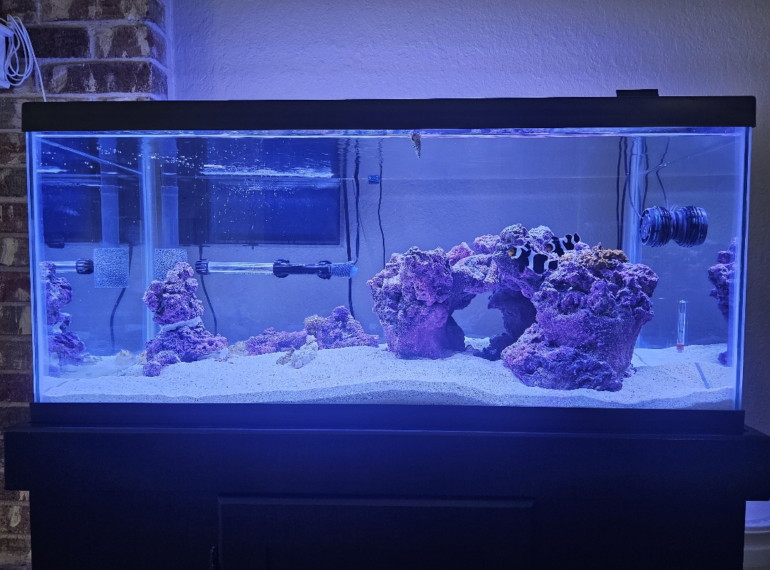 Tank Image