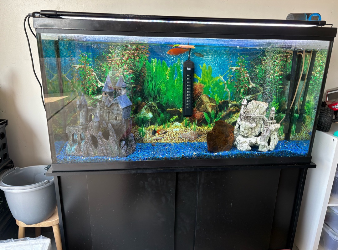 Tank Image