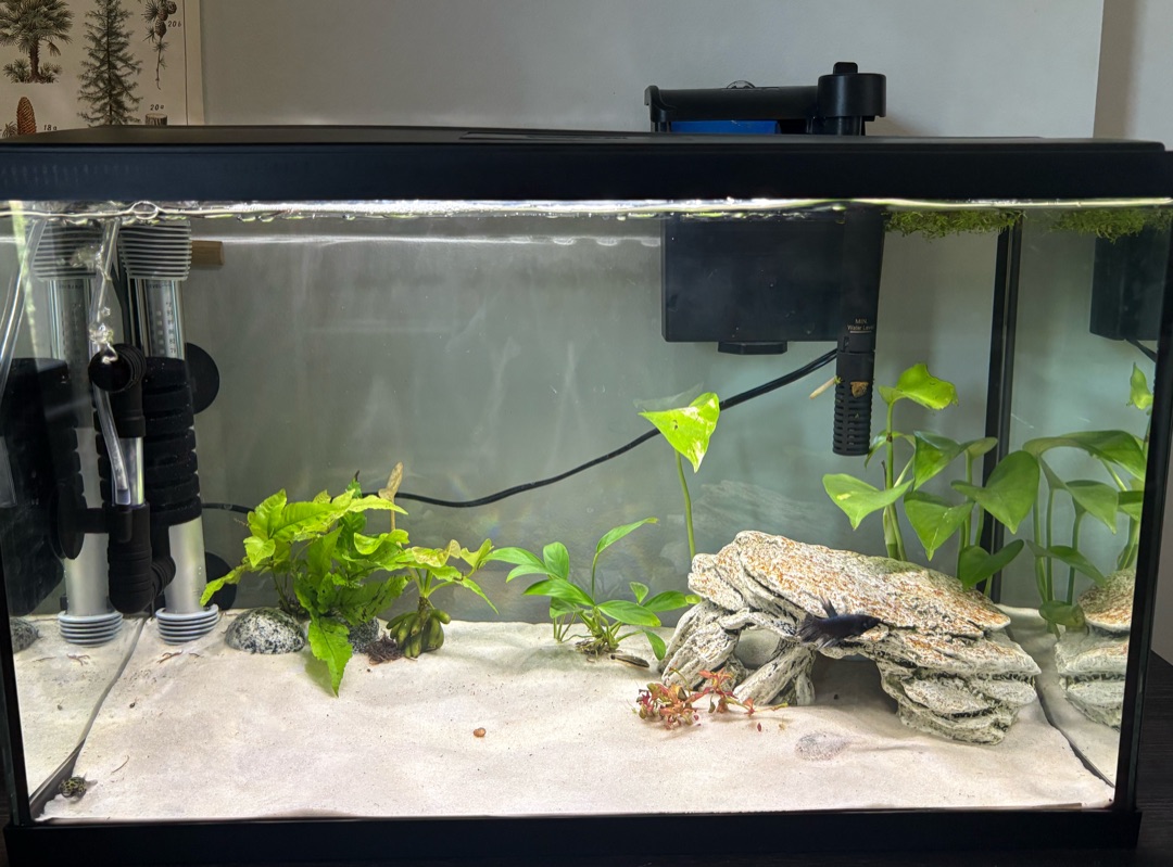 Tank Image