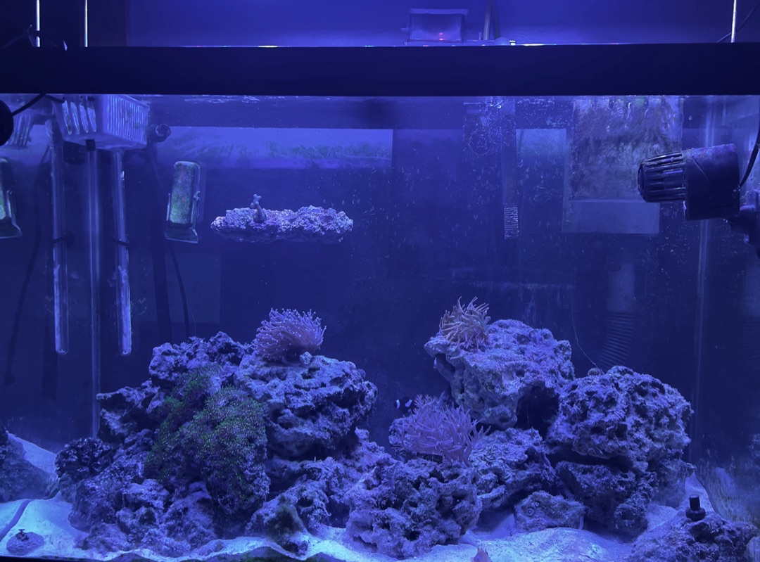 Tank Image