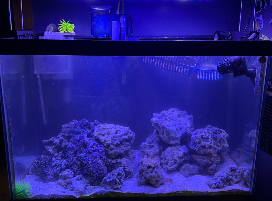 Tank Image