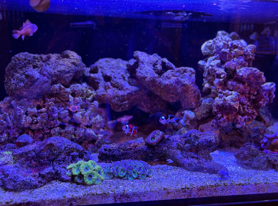 Tank Image