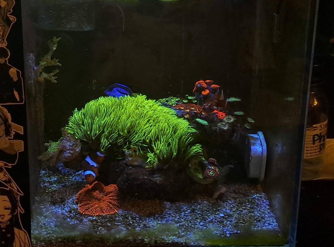 Tank Image