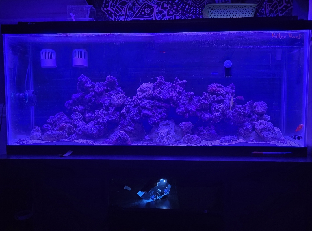 Tank Image