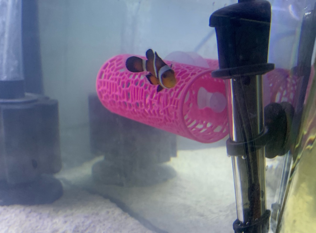 Tank Image