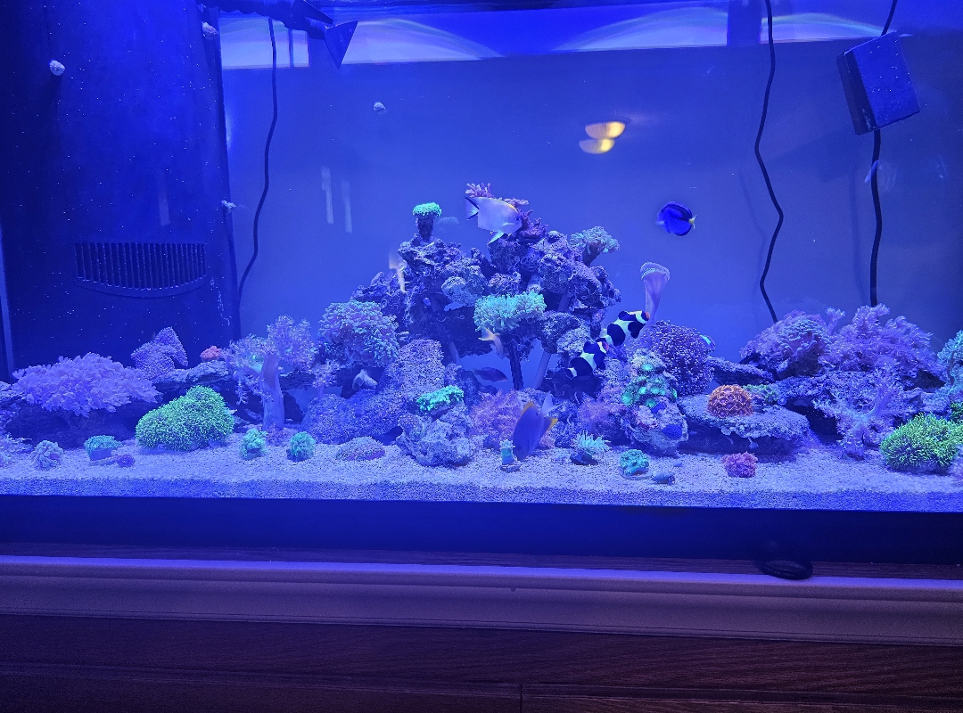 Tank Image