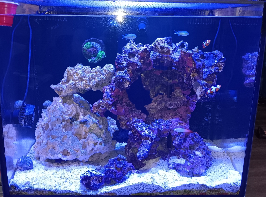 Tank Image