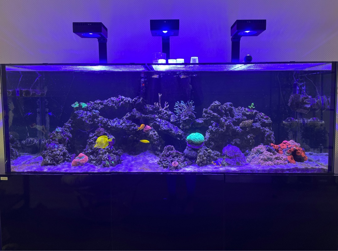 Tank Image