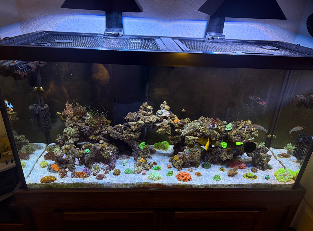Tank Image