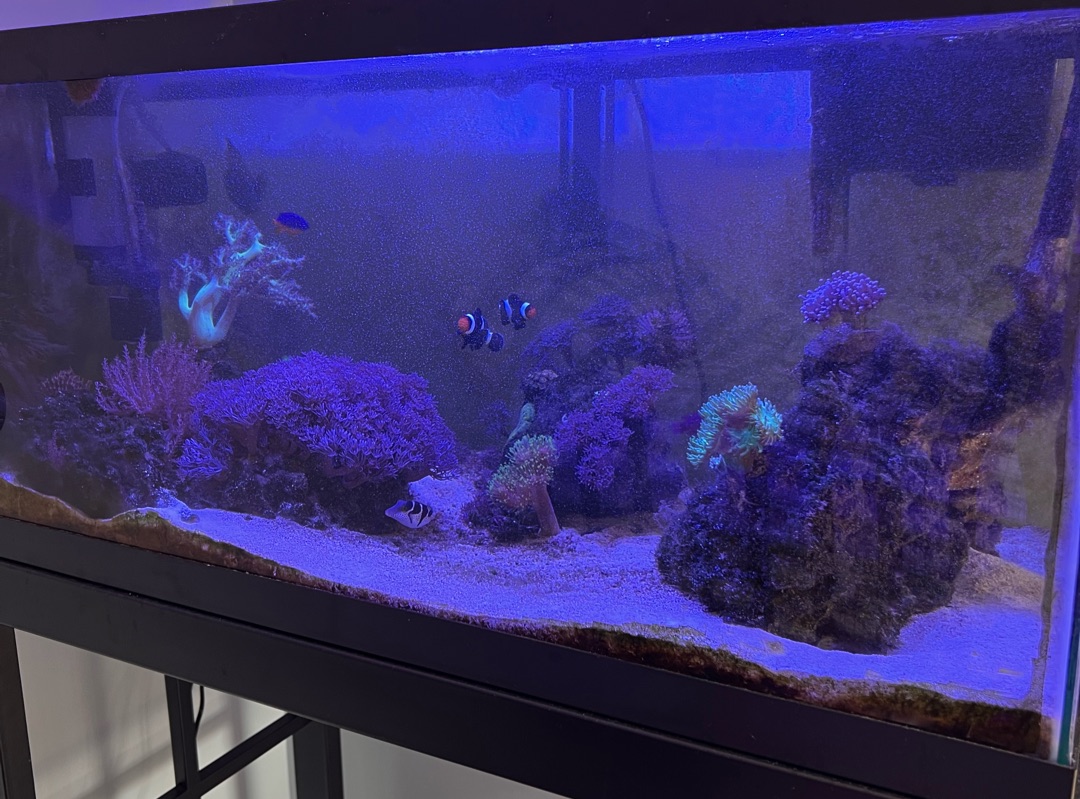 Tank Image