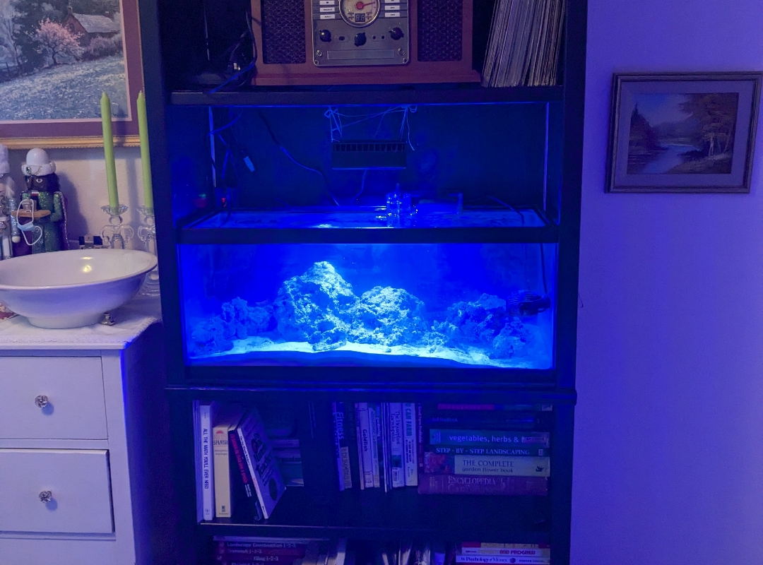 Tank Image