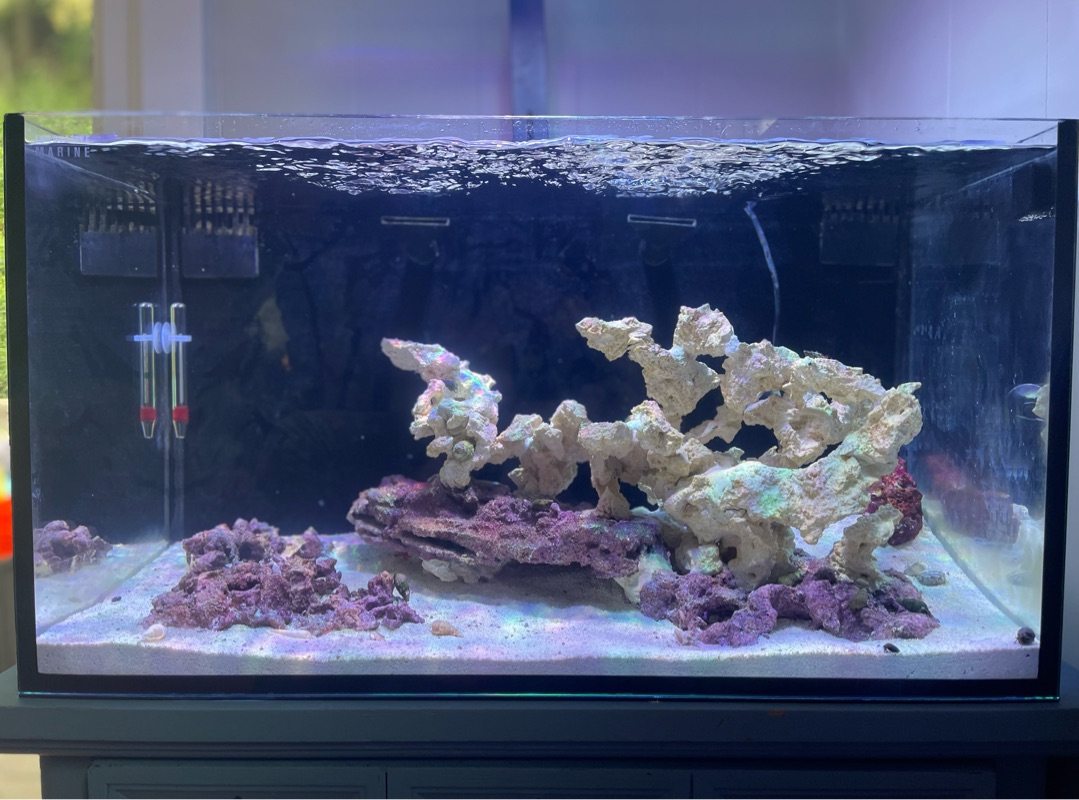 Tank Image