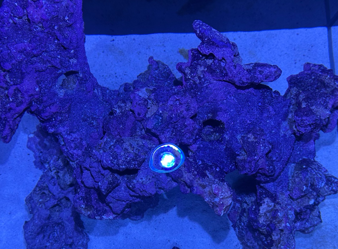 Tank Image